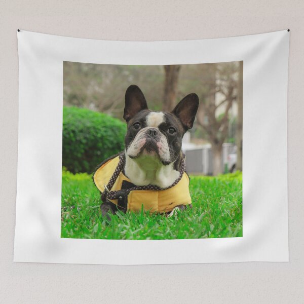 Item preview, French Bulldog Relaxing on Green Grass designed and sold by DigiArtAnimal.