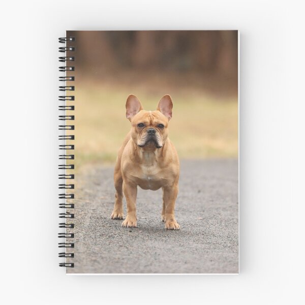Item preview, Brown French Bulldog on Guard designed and sold by DigiArtAnimal.