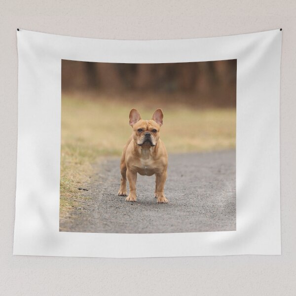 Item preview, Brown French Bulldog on Guard designed and sold by DigiArtAnimal.