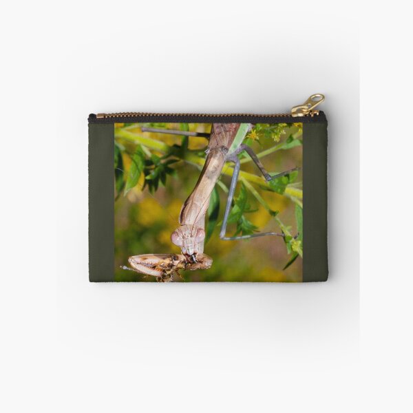 Item preview, Chew Your Food - Mantis Devouring a Bee designed and sold by dlamb.