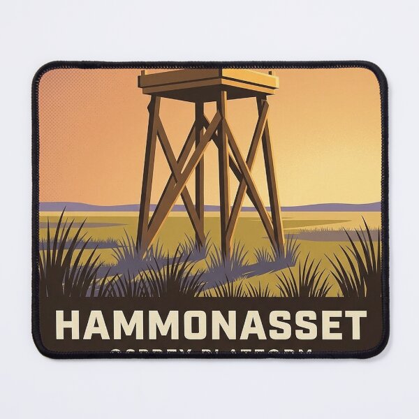 Item preview, Osprey Platform Sticker - Hammonasset Beach State Park Connecticut designed and sold by DetourDgn.