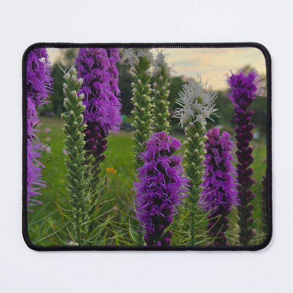 Item preview, Fuzzy flowers designed and sold by Shoreline Photography .