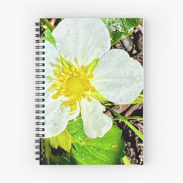 Item preview, Rain designed and sold by Pink Ribbon Flowers .