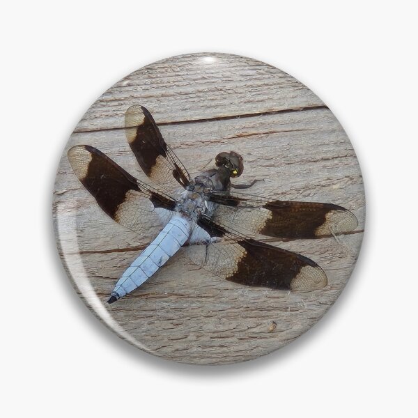 Item preview, Dragonfly designed and sold by Shoreline Photography .