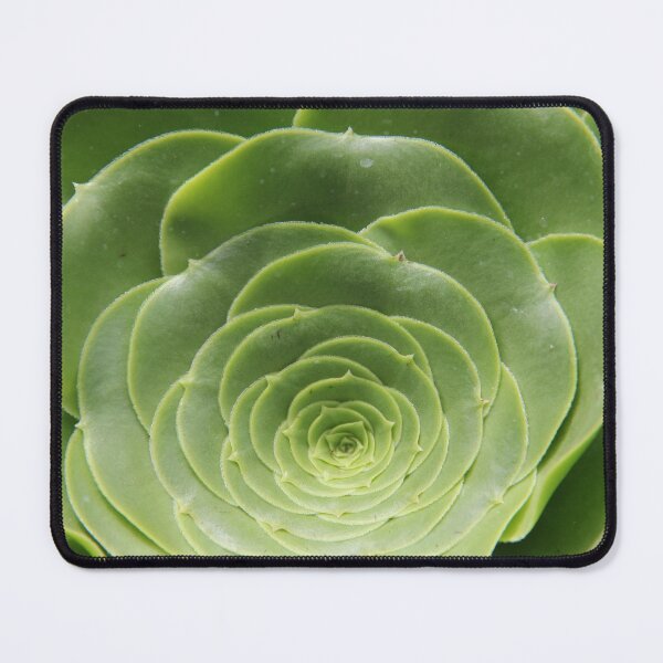Item preview, The math of Nature. designed and sold by Dead Parrot Technology.