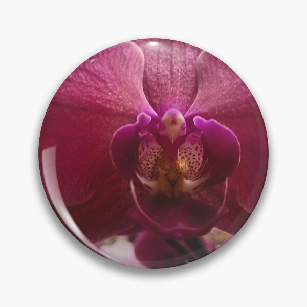 Item preview, Exotic Maroon Phalaenopsis Bloom designed and sold by TaisiasCaptures.