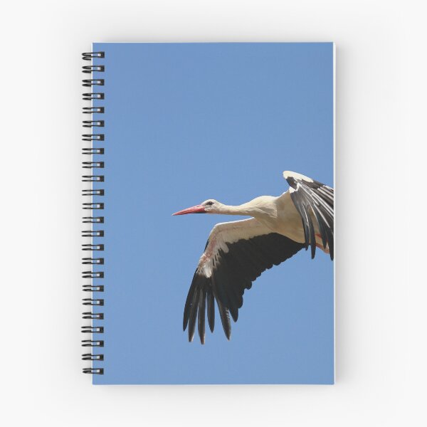 Item preview, Stork in flight designed and sold by miradorpictures.