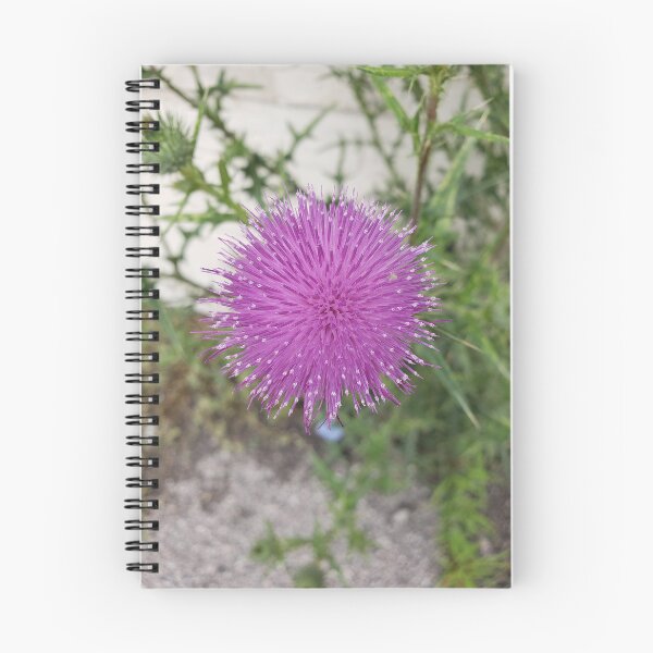 Item preview, Bull Thistle Head-On designed and sold by concretebotany.