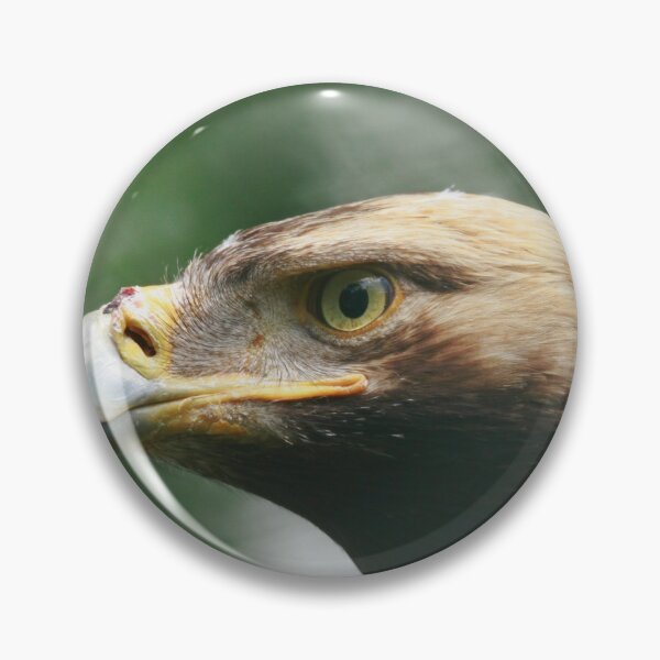 Item preview, Profile of an Eagle designed and sold by miradorpictures.