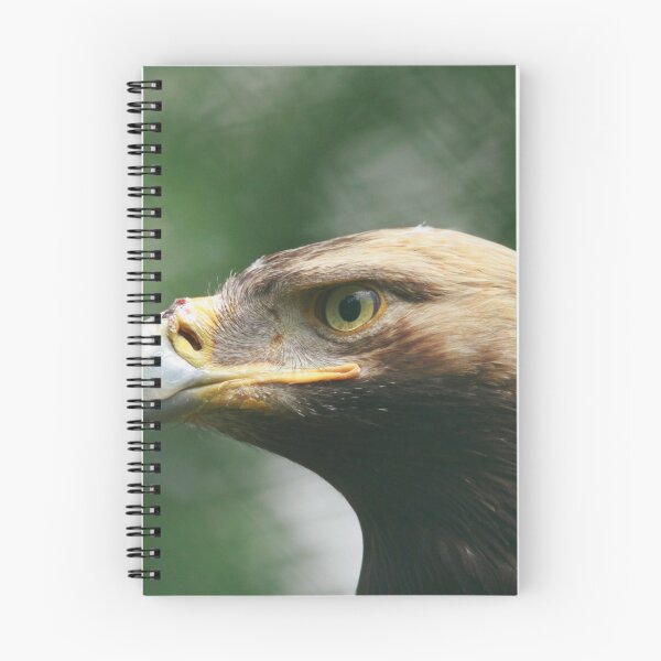 Item preview, Profile of an Eagle designed and sold by miradorpictures.