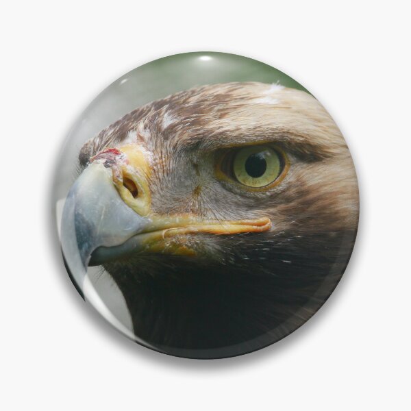 Item preview, Eagle eyed designed and sold by miradorpictures.