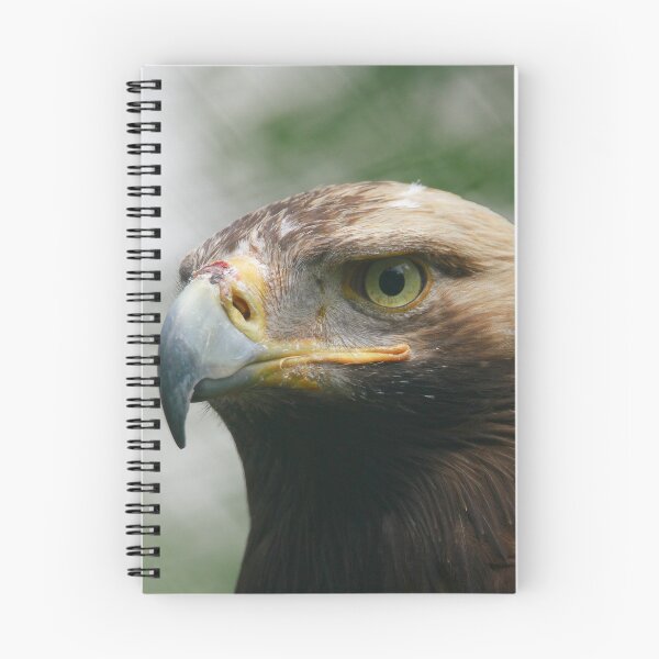 Item preview, Eagle eyed designed and sold by miradorpictures.