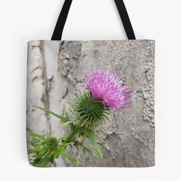 Item preview, Bull Thistle Bloom Against Stucco designed and sold by concretebotany.