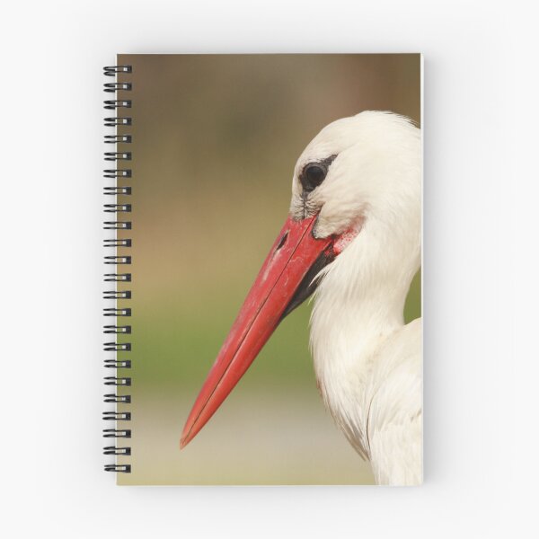 Item preview, Still as a Stork designed and sold by miradorpictures.