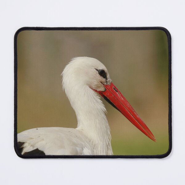 Item preview, Stunning Stork designed and sold by miradorpictures.