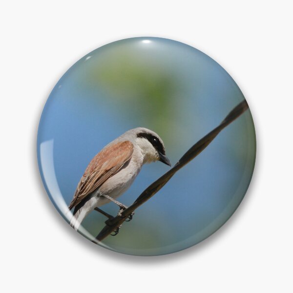 Item preview, Bird on a wire designed and sold by miradorpictures.