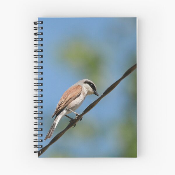 Item preview, Bird on a wire designed and sold by miradorpictures.