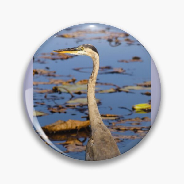 Item preview, Great Blue Heron in the Shallows  designed and sold by Wait, Watch and Wander Shop.