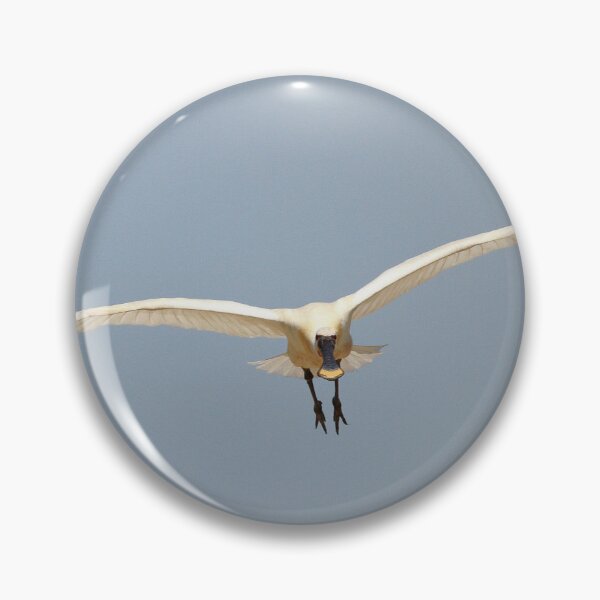 Item preview, Soaring Spoonbill designed and sold by miradorpictures.