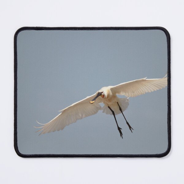 Item preview, The landing designed and sold by miradorpictures.