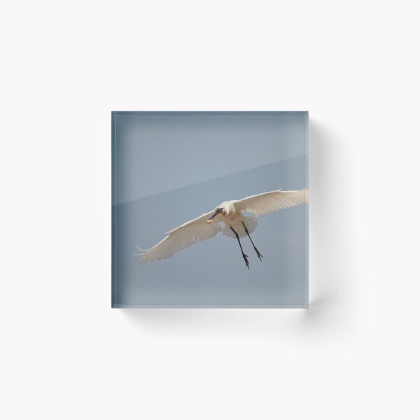 Item preview, The landing  designed and sold by miradorpictures.