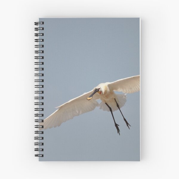 Item preview, The landing  designed and sold by miradorpictures.