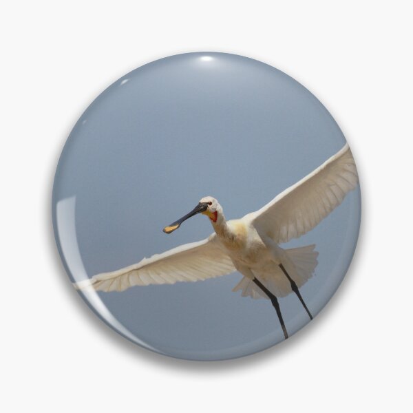 Item preview, Swooping spoonbill  designed and sold by miradorpictures.