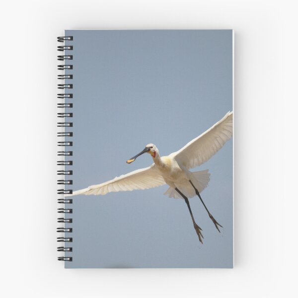 Item preview, Swooping spoonbill  designed and sold by miradorpictures.