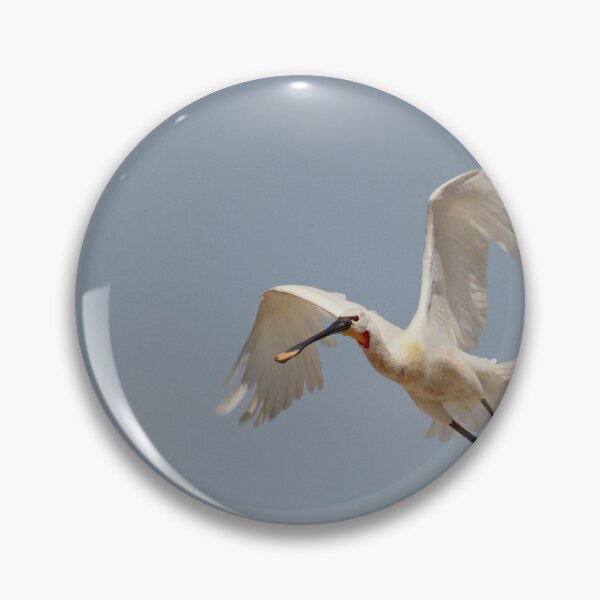 Item preview, In a flap  designed and sold by miradorpictures.