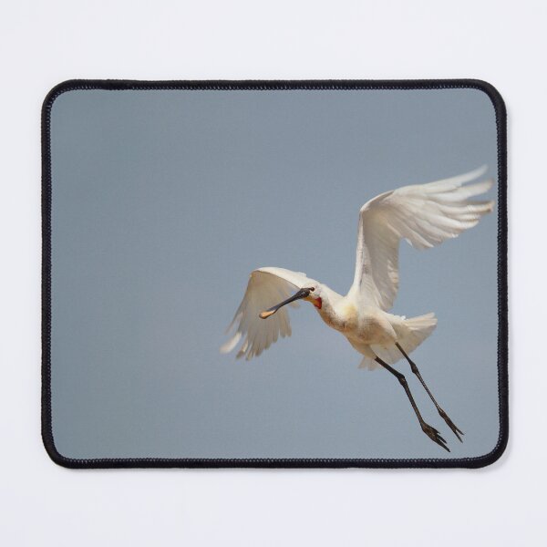 Item preview, In a flap designed and sold by miradorpictures.