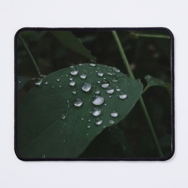 Item preview, Raindrops on Leaves, Dark Moody Botanical Nature Photo designed and sold by Nature Moments.