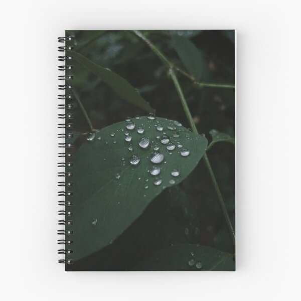 Item preview, Raindrops on Leaves, Dark Moody Botanical Nature Photo designed and sold by Nature Moments.