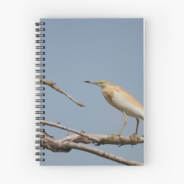 Item preview, The perfect perch designed and sold by miradorpictures.