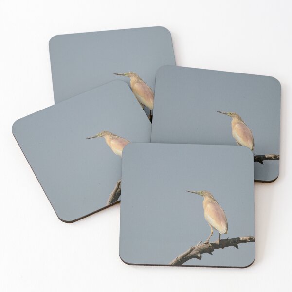 Item preview, Stunning Squacco designed and sold by miradorpictures.