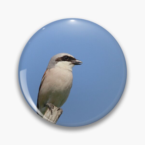 Item preview, Top of the tree designed and sold by miradorpictures.
