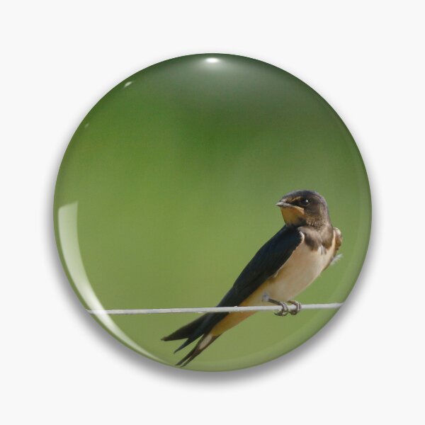 Item preview, Swallows rest  designed and sold by miradorpictures.