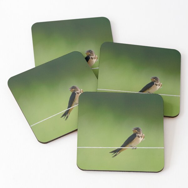 Item preview, Swallows rest  designed and sold by miradorpictures.