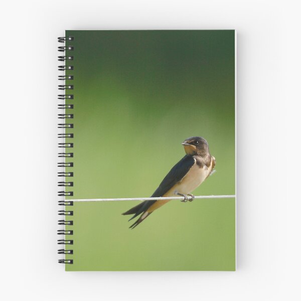 Item preview, Swallows rest  designed and sold by miradorpictures.