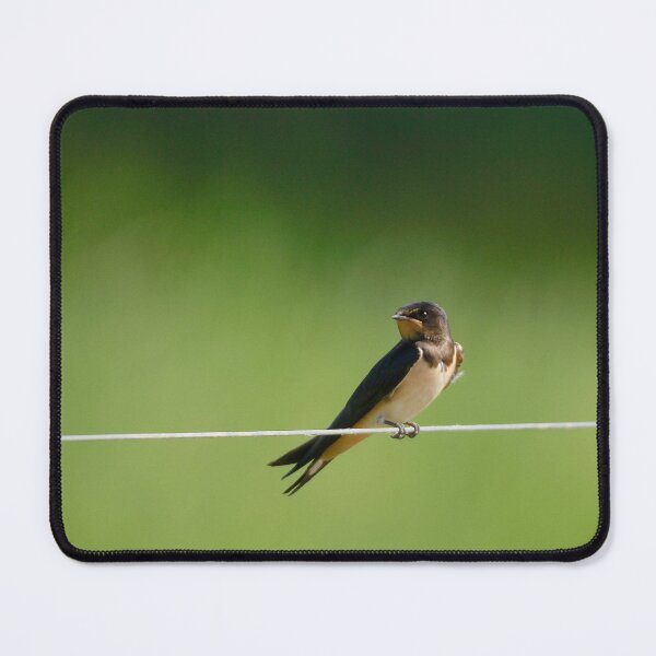 Item preview, Swallows rest designed and sold by miradorpictures.