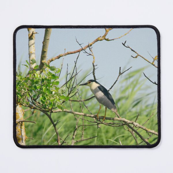 Item preview, The night heron designed and sold by miradorpictures.
