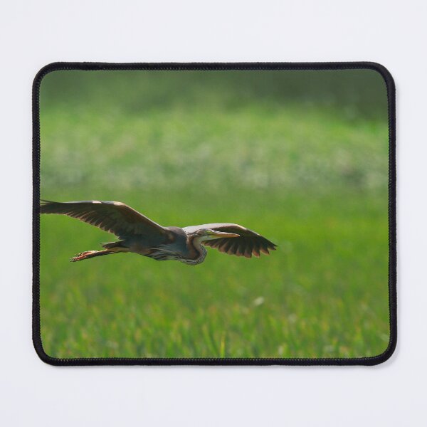 Item preview, Hungry heron designed and sold by miradorpictures.