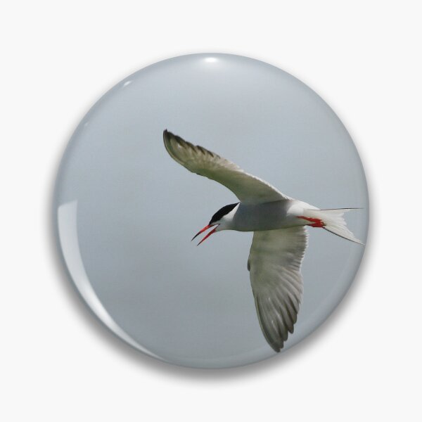 Item preview, Taking a tern designed and sold by miradorpictures.