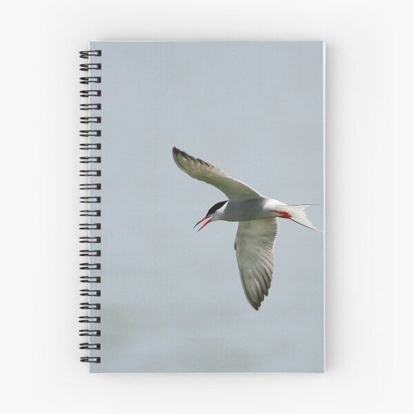 Item preview, Taking a tern designed and sold by miradorpictures.