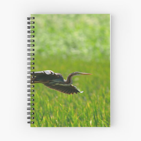 Item preview, Heron hunt designed and sold by miradorpictures.