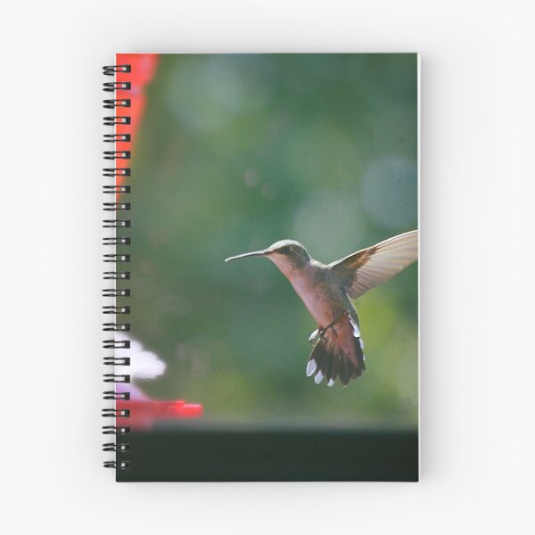 Item preview, Hummingbird designed and sold by This and That.