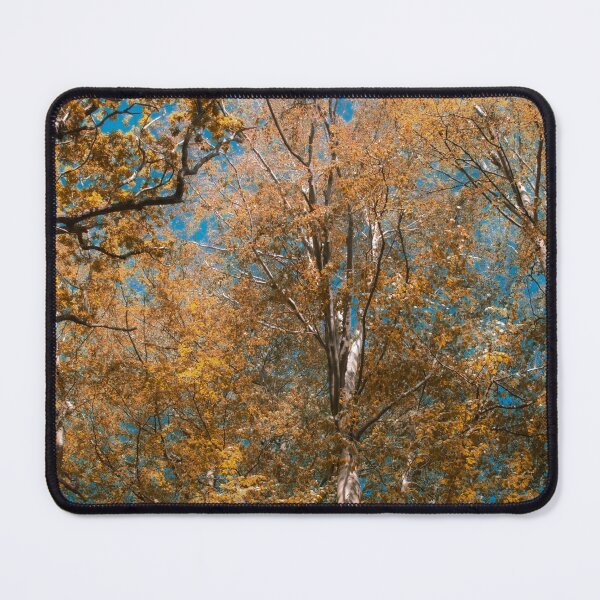 Item preview, Autumn Palette designed and sold by Christine Lake.