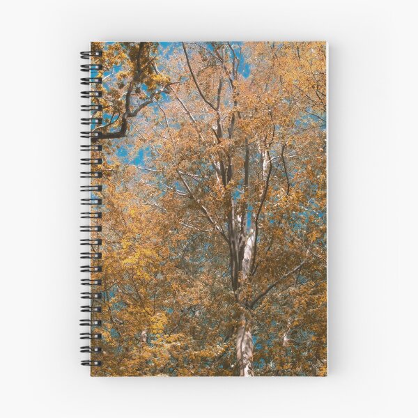 Item preview, Autumn Palette designed and sold by Christine Lake.