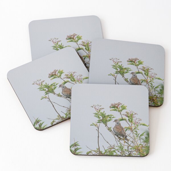 Item preview, One turtle dove  designed and sold by miradorpictures.