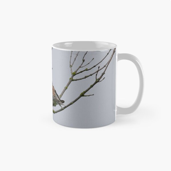 Item preview, Terrific turtle dove designed and sold by miradorpictures.