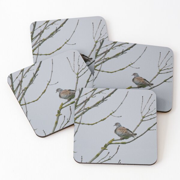 Item preview, Terrific turtle dove designed and sold by miradorpictures.